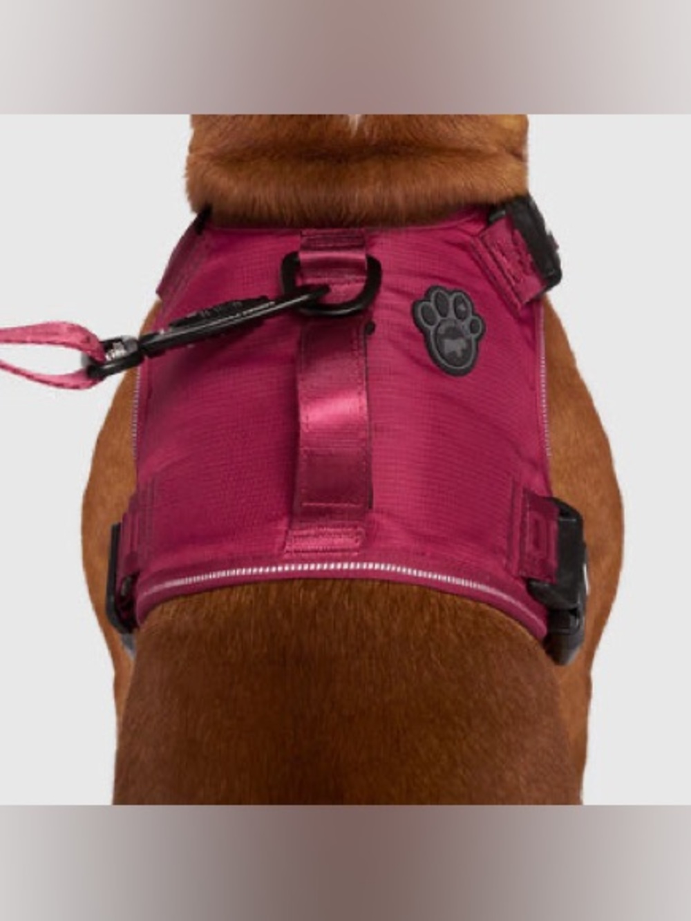 Canada Pooch Complete Control Harness - Plum Color, size M